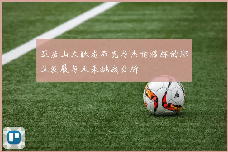 亚历山大狄龙布克与杰伦格林的职业发展与未来挑战分析